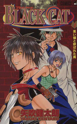 ブラックキャット　直筆サイン色紙　漫画 BLACK CAT　非売品　矢吹健太朗 ブラックキャット 直筆サイン色紙 漫画 BLACK CAT 非売品 矢吹健太朗